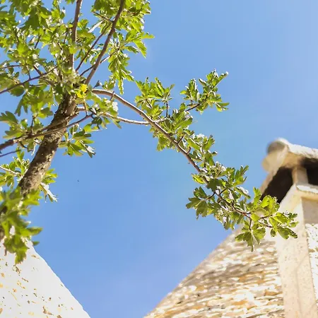 Villa Trullo Del Lazzarone By Wonderful Italy